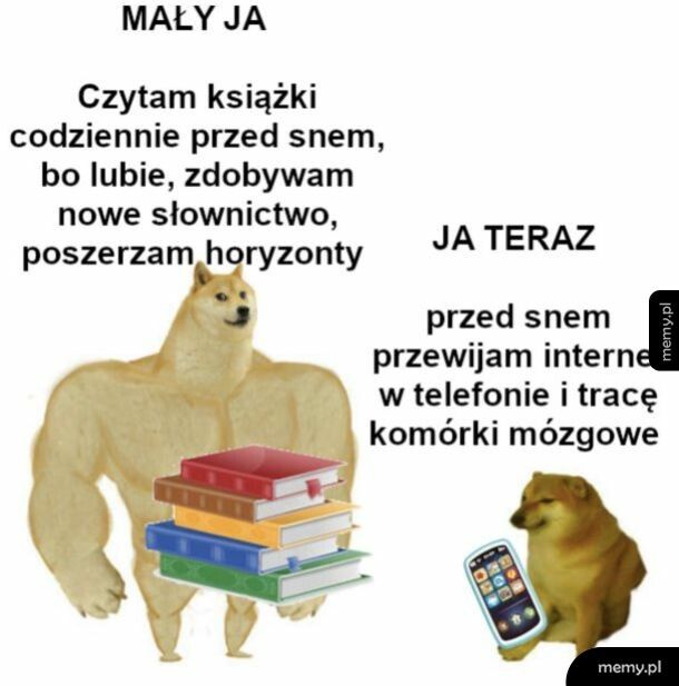 Społeczeństwo głupieje