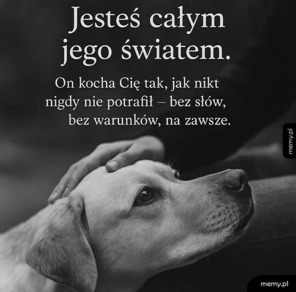 I z wzajemnością