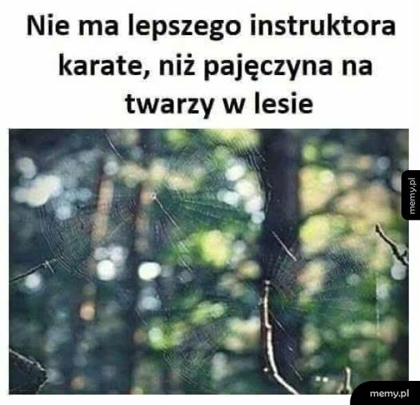 Instruktor