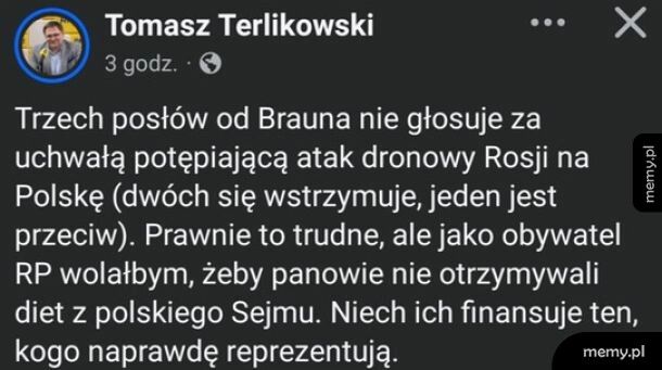 Terlikowski