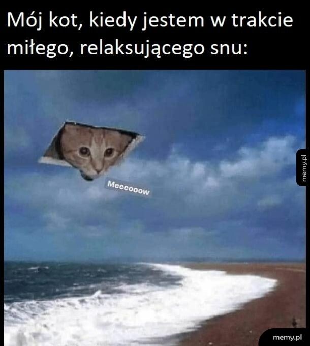 Pobudka
