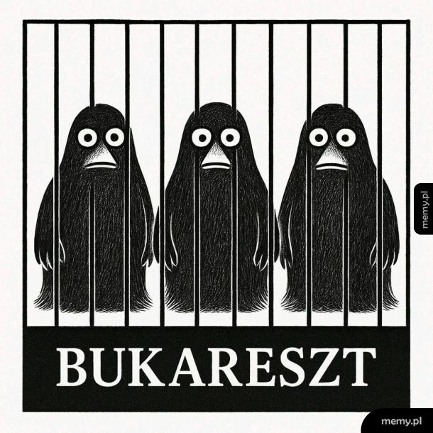 Biedne Buki xD
