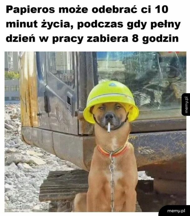 Wybór jest nieoczywistym