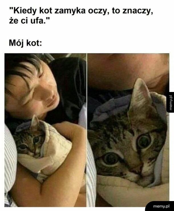 Zaufanie