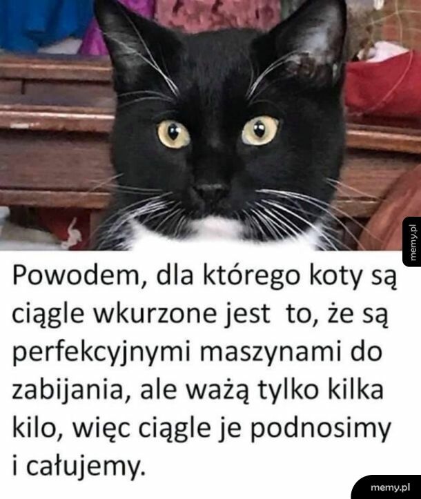 Cała prawda
