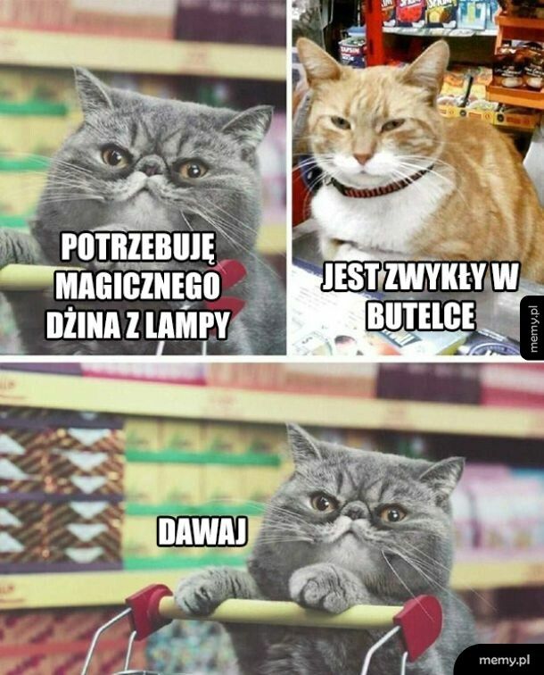 Też może być