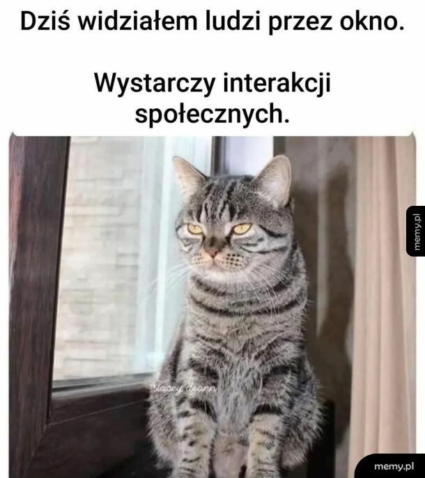 Co za dużo to niezdrowo