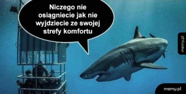 Strefa komfortu