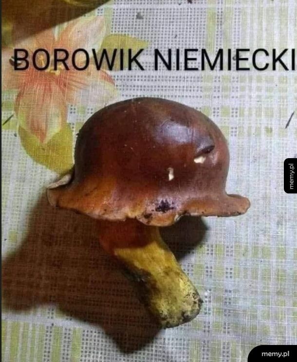 Kapelusz czy hełm?