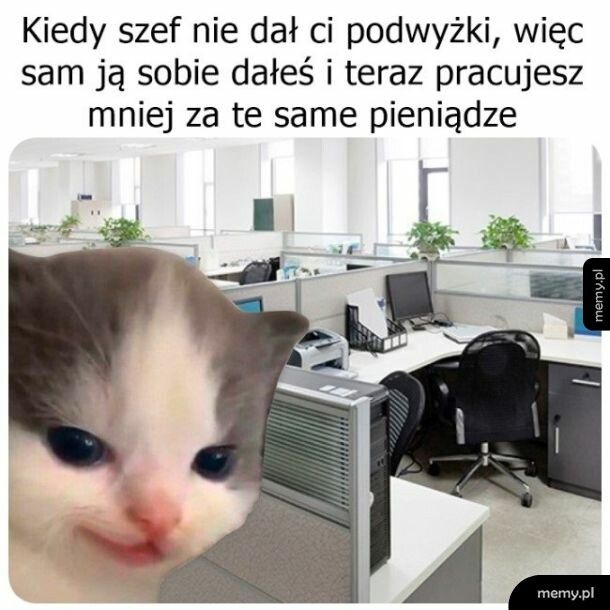 Podwyżka