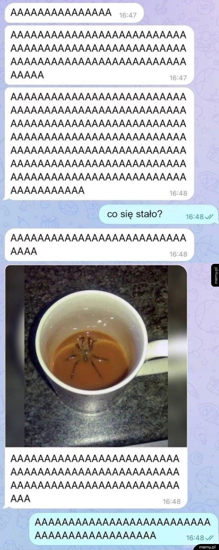 AAAAAAAAAAAAAAAAA