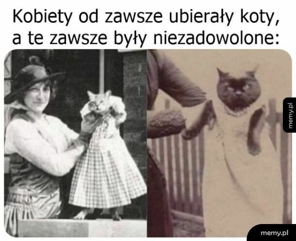 Nic dziwnego