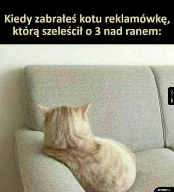 Foszek