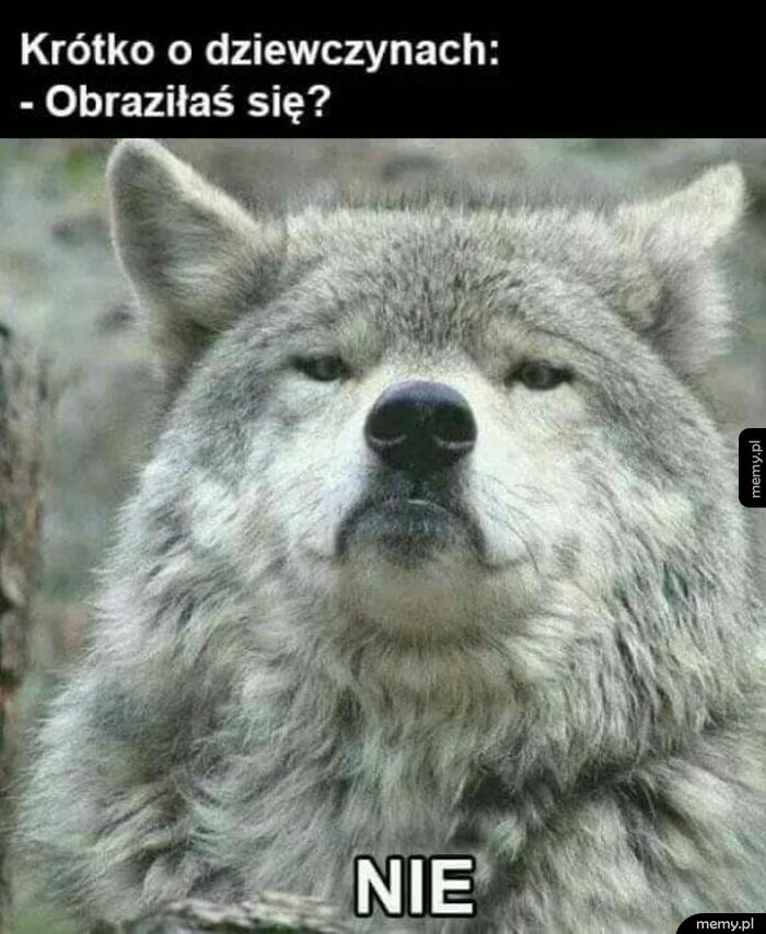 I wszystko jasne