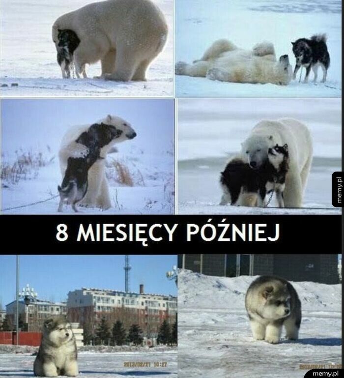 owoc miłości