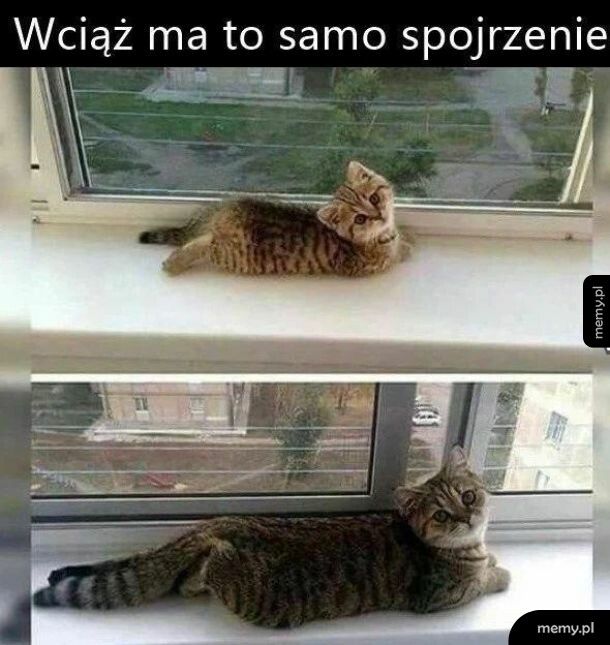 Bez zmian