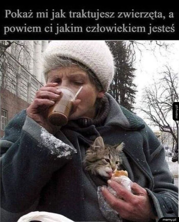 Prawdziwy wyznacznik