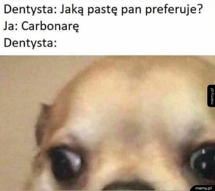 Moja ulubiena