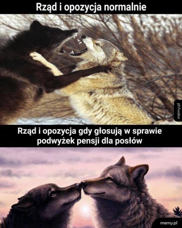 Tu się zgadzają