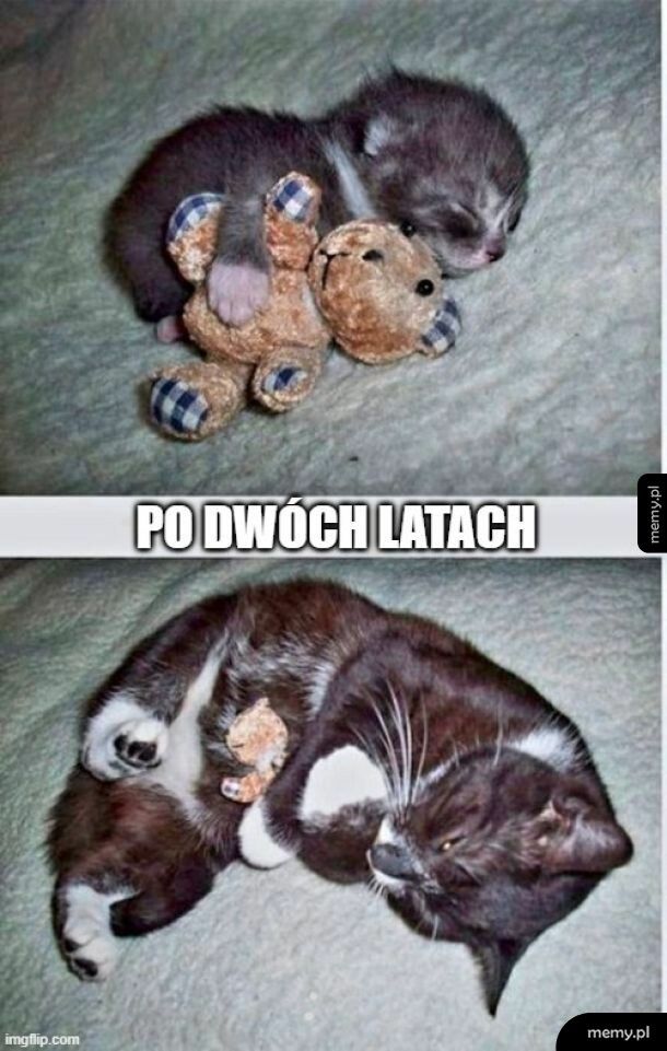 Nadal ze swoją ulubioną maskotką