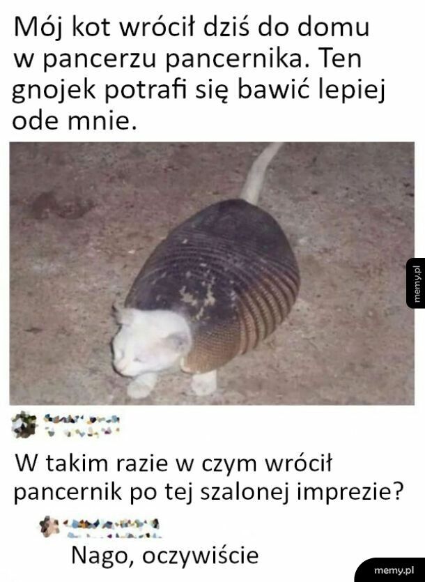 Dziwny powrót
