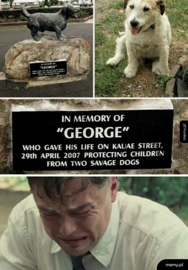 Poświęcił swoje życie