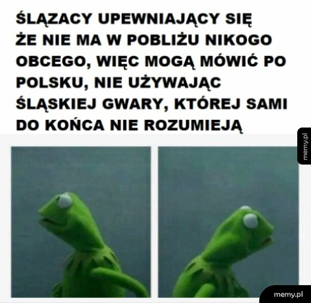 Ślązacy