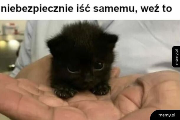 Będzie bezpieczniej