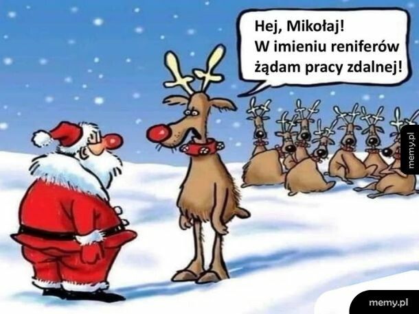 Sam sobie ciągnij te sanie