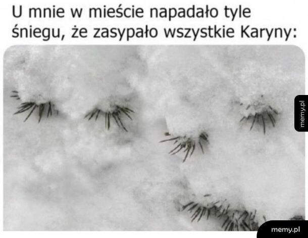 I znowu Karyny pod śniegiem