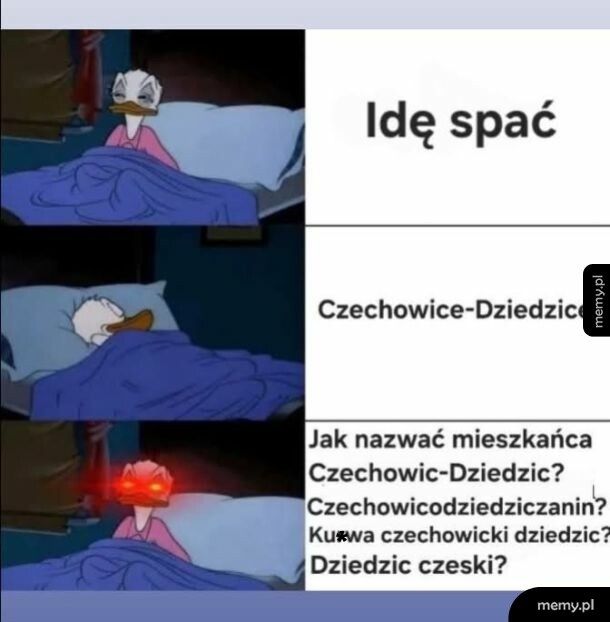 Mieszkańcy Czechowic-Dziedzic