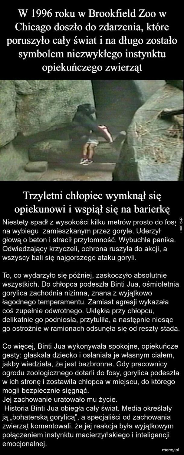 Zdarzenie, które poruszyło cały świat