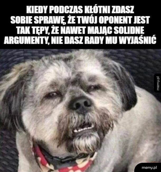 Szkoda szczempić ryja