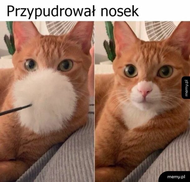 Makijaż