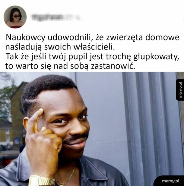 Warto się zastanowić