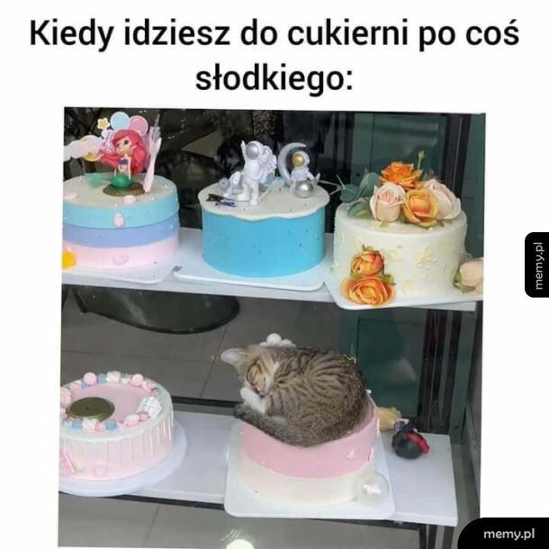 Słodycze
