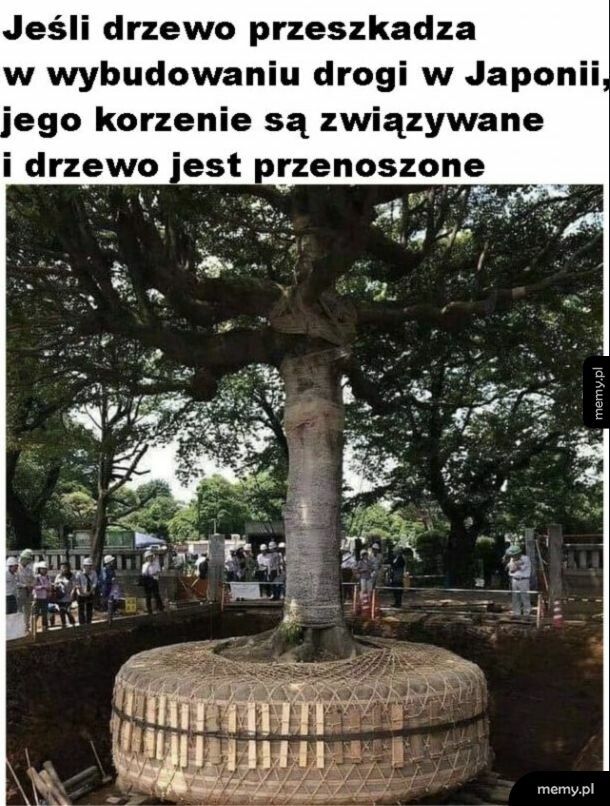 Kraj kwitnącej wiśni