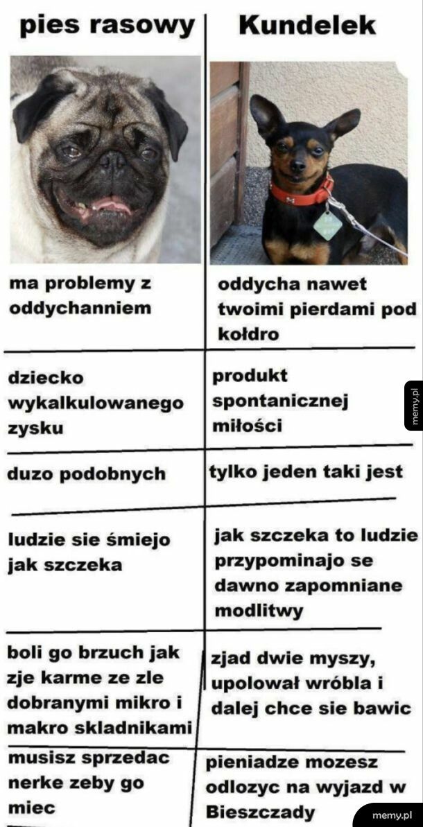 Wyb&oacute;r jest prosty