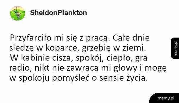 Najważniejsze to lubić swoją pracę