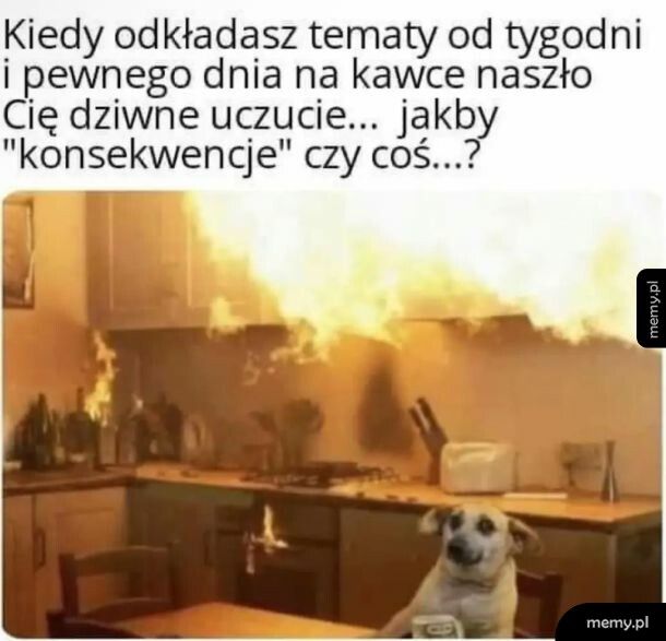 Konsekwencje? Pierwsze słyszę