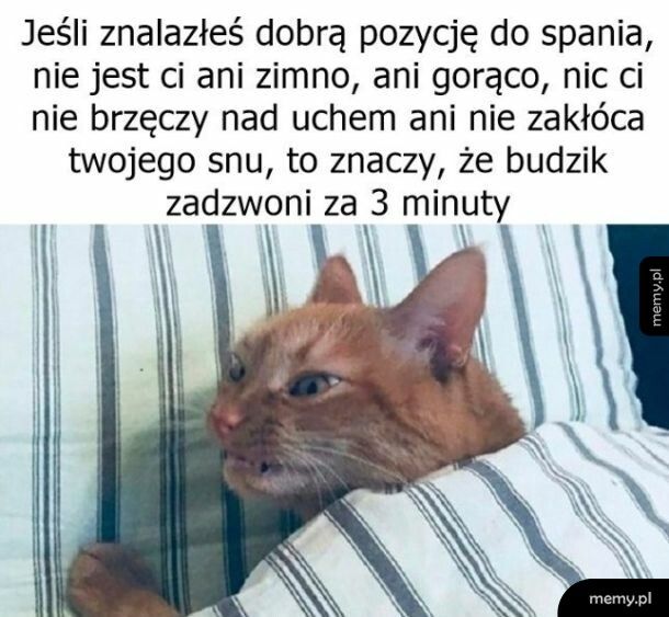 Zgadza się   xd