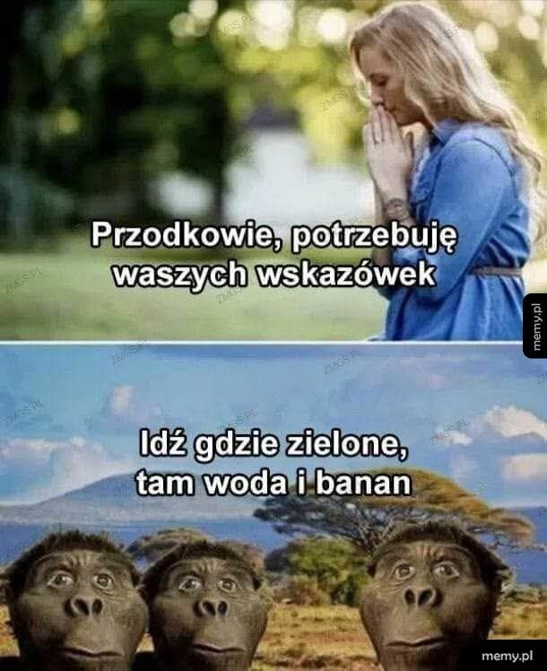 Moze to i jest jakieś rozwiazanie nowoczesnych problem&oacute;w...