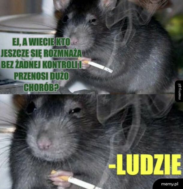 Najwięksi szkodnicy