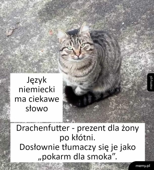 Interesujące słowo