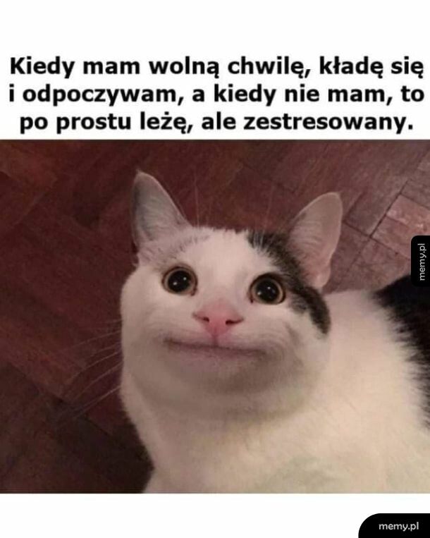 Leżenie
