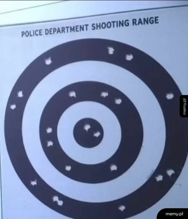 Strzelec wyborowy czy wybi&oacute;rczy?