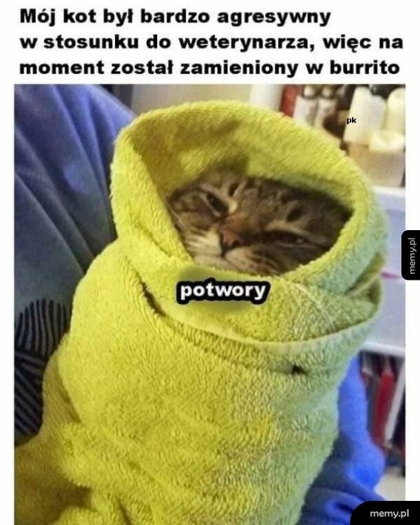 Burrito
