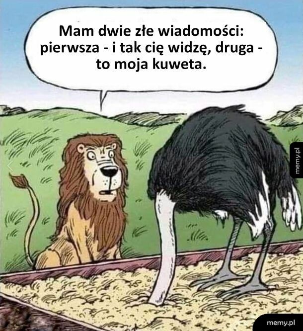 Wiadomości