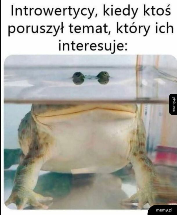 O tak