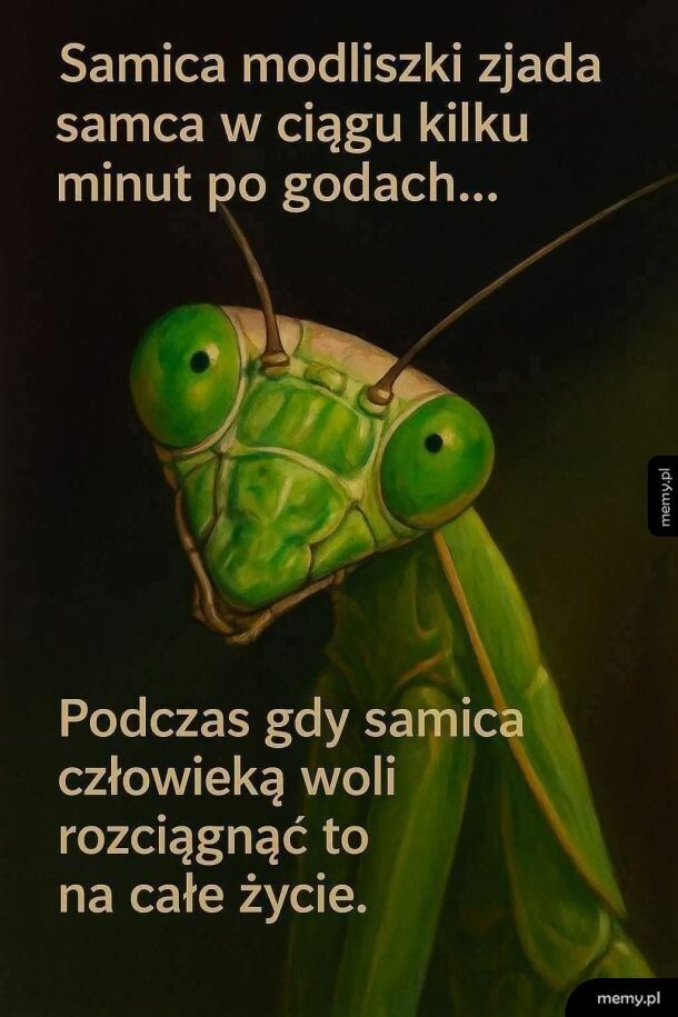 Za to my mamy wiecej kopulacji XD